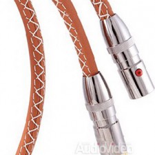 ATLAS CABLES одягається в шкіру