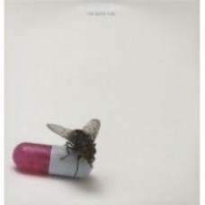 RED HOT CHILI PEPPERS – I’M WITH YOU 2 LP Set 2011 (9362-49564-6, 180 gm.) GAT, WB./EU MINT