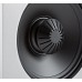 Акустична пара Definitive Technology Demand D7