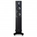 Акустична пара Raidho TD2.2 Black