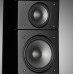 Акустична пара Raidho TD3.8 Black