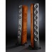 Акустична пара Raidho TD4.2 Walnut Burl