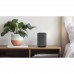 Бездротова мережева акустична система Denon Home 150 NV